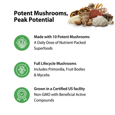 10 Mushroom Power Complex, 60 Vegan Capsules