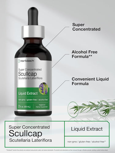 Scullcap Liquid Extract Alcohol Free, 2 fl oz (59 mL) Dropper Bottle