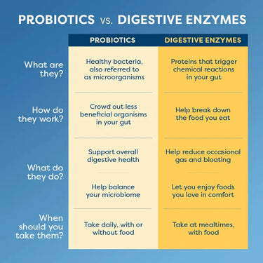 Gas Stop Fast Acting, 60 Vegan Capsules