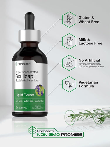 Scullcap Liquid Extract Alcohol Free, 2 fl oz (59 mL) Dropper Bottle