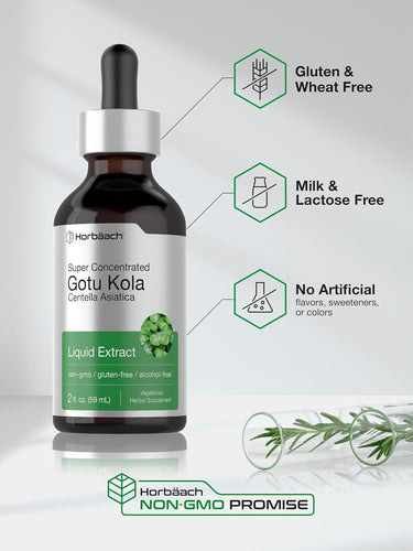 Gotu Kola Liquid Extract Alcohol Free, 2 fl oz (59 mL) Dropper Bottle
