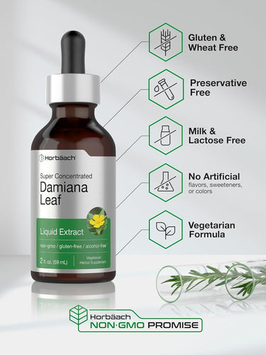 Damiana Leaf Liquid Extract Alcohol Free, 2 fl oz (59 mL) Dropper Bottle