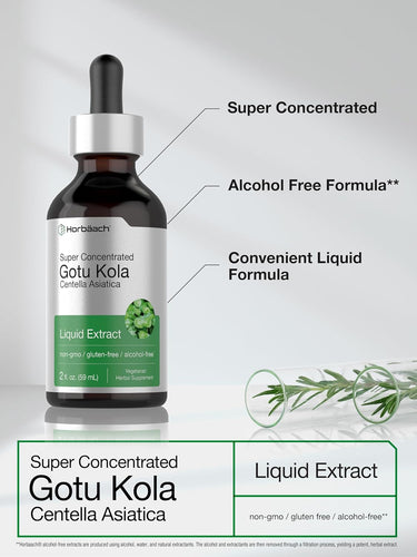 Gotu Kola Liquid Extract Alcohol Free, 2 fl oz (59 mL) Dropper Bottle
