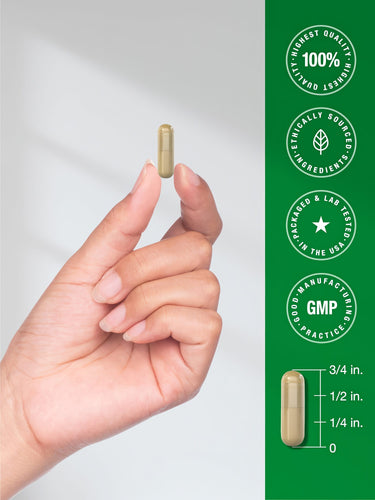 Infographic shows a 3/4 in. light brown capsule and quality badges: 100% Quality, Ethically Sourced, Lab Tested USA, GMP.
