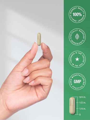 Infographic stating 100% highest quality, ethically sourced ingredients, packaged and lab tested in USA, 3/4 inch capsule.