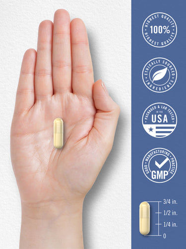 A pale yellow capsule, roughly 3/4 inch long, is held in an open hand.