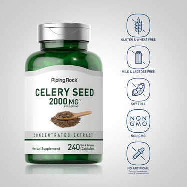 Celery Seed, 2000 mg (per serving), 240 Quick Release Capsules