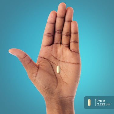 Collagen Type I & III, 6000 mg (per serving), 300 Coated Caplets