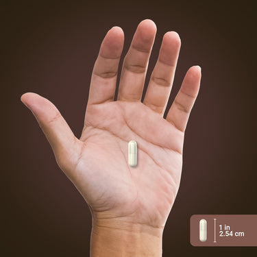 A white and clear capsule rests on a hand. A scale shows the capsule measures 1 inch or 2.54 cm in length.