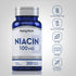 Niacin, 100 mg, 300 Vegetarian Tablets