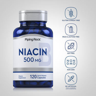 Niacin, 500 mg, 120 Quick Release Capsules