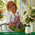 St. John's Wort 1.8% hypericin (Standardized Extract), 4800 mg (per serving), 180 Quick Release Capsules
