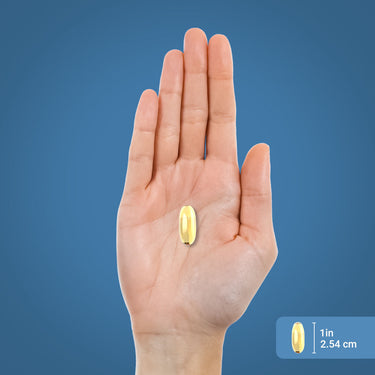 A 1-inch (2.54 cm) long softgel capsule.