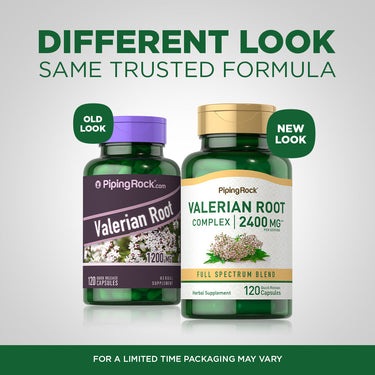 Valerian Root, 2400 mg, 120 Quick Release Capsules