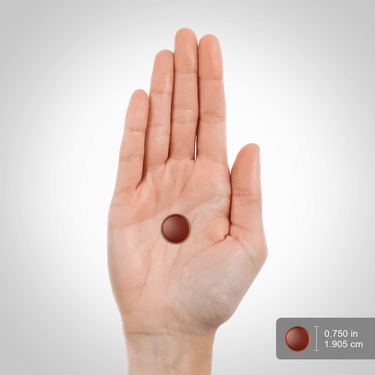 Brown circular gummy measures 0.75 inches or 1.905 cm.
