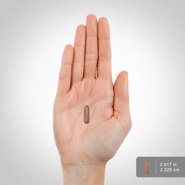 Green Tea Standardized Extract, 600 mg, 120 Capsules