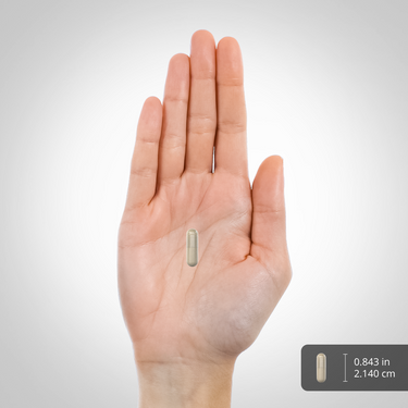 A light-colored vegetable capsule measuring 0.843 inches (2.140 cm).
