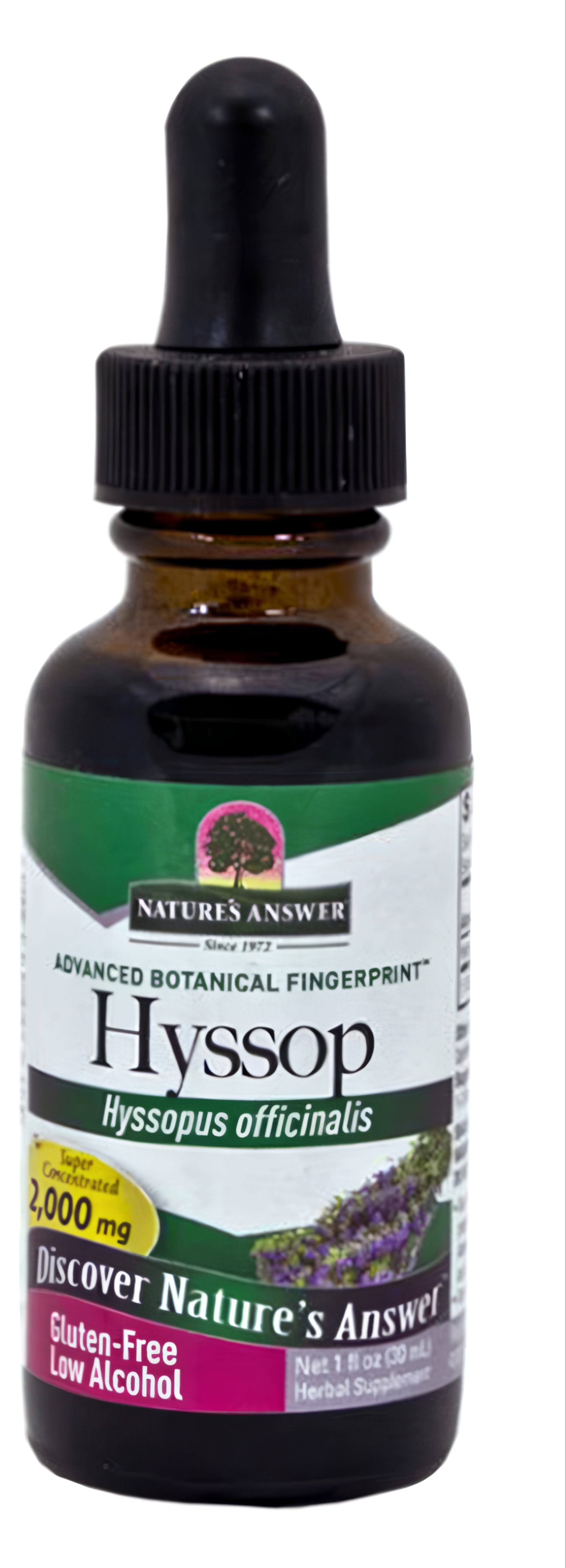 Nature's Answer Hyssop Liquid Extract, 1 fl oz, 2,000 mg, Gluten-Free, Low Alcohol Herbal Supplement bottle.