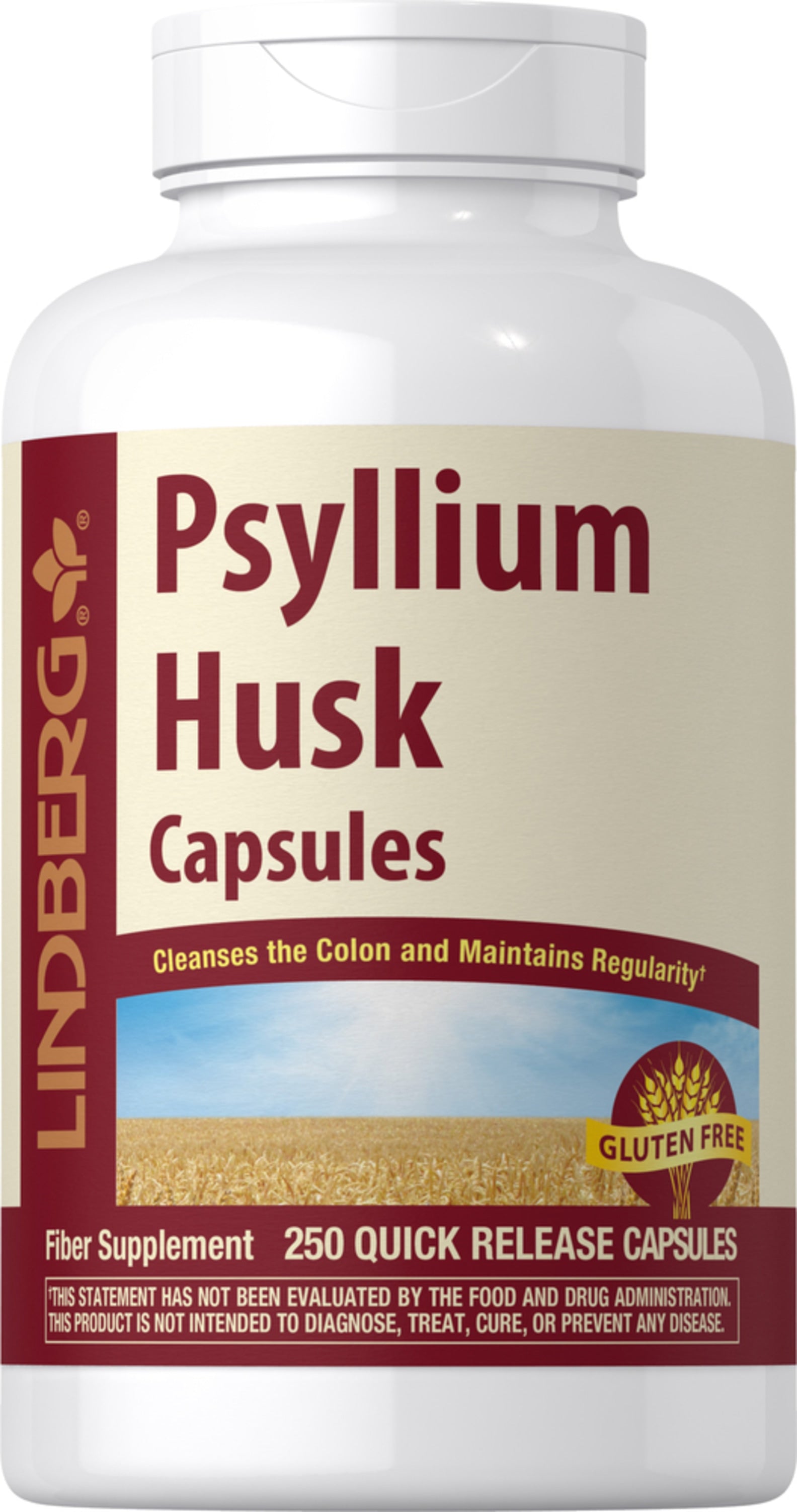 Psyllium Husks, 510 mg, 250 Quick Release Capsules