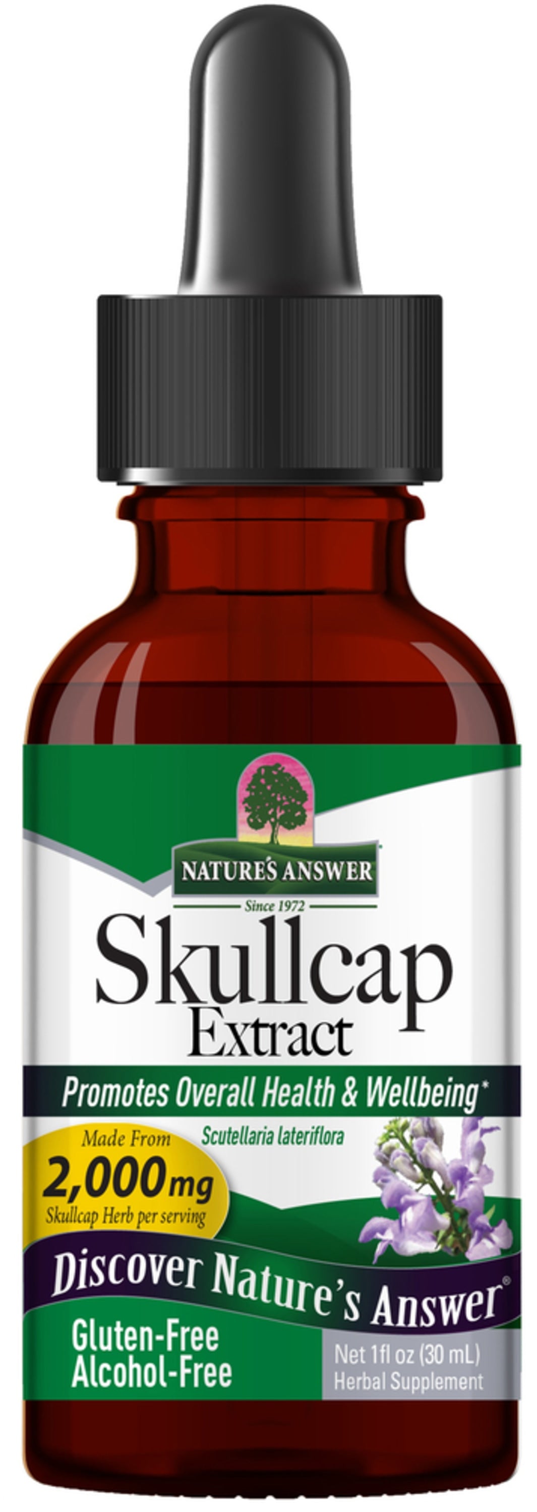 Skullcap Liquid Extract Alcohol Free, 1 fl oz (30 mL) Dropper Bottle