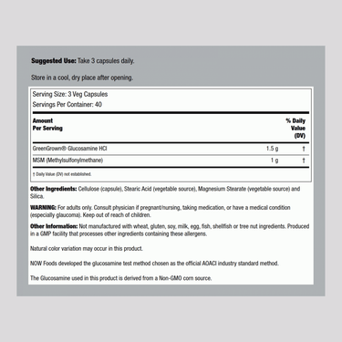 Vegetarian Glucosamine & MSM, 500 mg, 120 Vegetarian Capsules