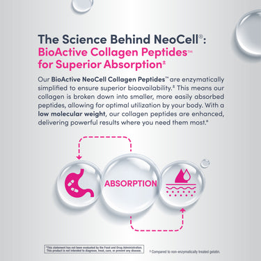 Advanced Collagen Peptides + Hyaluronic Acid + C, 6.9 oz (195 g) Powder