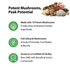 10 Mushroom Power Complex, 60 Vegan Capsules