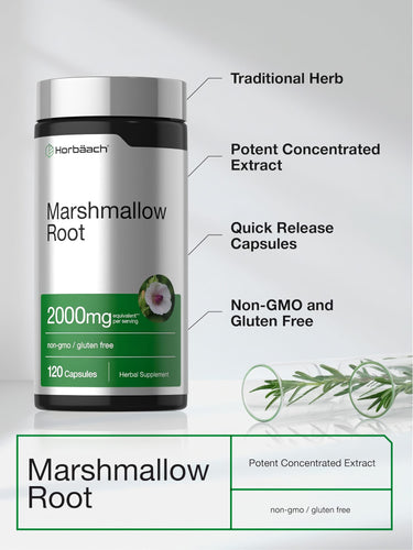 Product highlights graphic stating Traditional Herb, Potent Concentrated Extract, Quick Release Capsules, Non-GMO and Gluten Free.