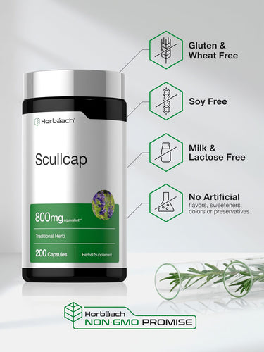 Scullcap, 800 mg, 200 Capsules