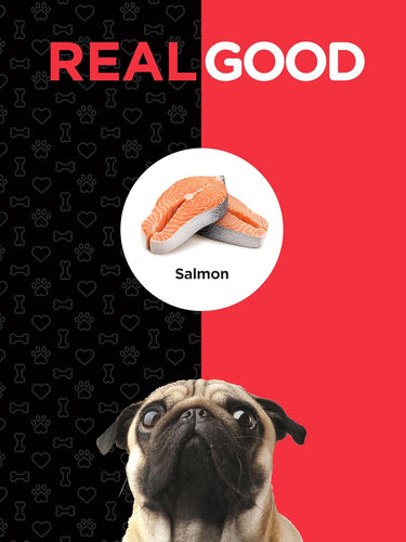 Horbaach Salmon Oil for Dogs: two salmon fillets with a pug looking up. Text reads 'REAL GOOD Salmon'.