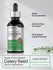 Celery Seed Liquid Extract, 2 fl oz (59 mL) Dropper Bottle