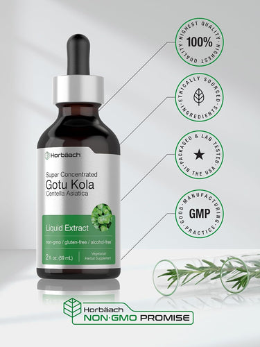 Gotu Kola Liquid Extract Alcohol Free, 2 fl oz (59 mL) Dropper Bottle