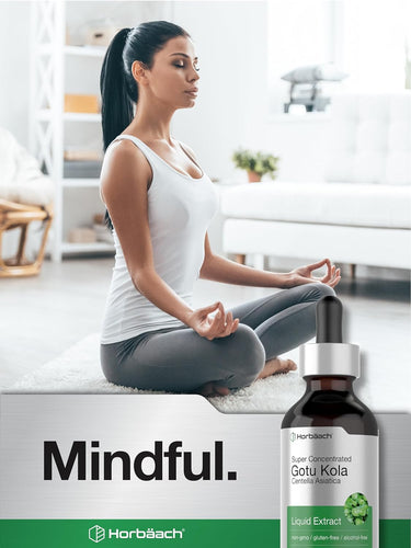 Gotu Kola Liquid Extract Alcohol Free, 2 fl oz (59 mL) Dropper Bottle