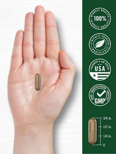 Noni 3000mg capsule in hand. Features: 100% highest quality, ethically sourced, lab-tested USA, GMP. Capsule is 3/4 inch.