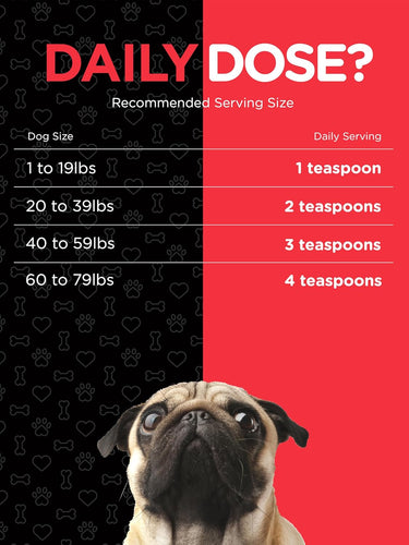 Salmon Oil for Dogs dose chart: 1-19 lbs 1 tsp, 20-39 lbs 2 tsp, 40-59 lbs 3 tsp, 60-79 lbs 4 tsp. Includes pug image.