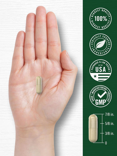 Leg Vein Support, 180 Quick Release Capsules
