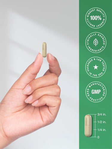 Infographic showing capsule size: 3/4 inch. Badges: 100% highest quality, ethically sourced, packaged & lab tested in USA, GMP.