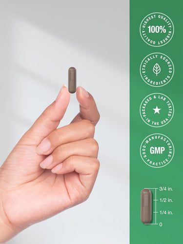 Black Walnut Hulls, 1000 mg, 120 Quick Release Capsules