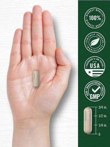 Feverfew, 380 mg, 180 Quick Release Capsules