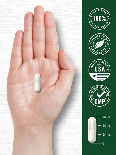 A white capsule is held in a hand, measuring 3/4 inch long.