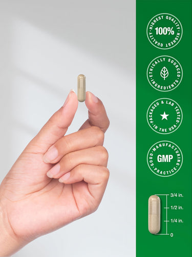 Infographic: 100% Highest Quality, Ethically Sourced Ingredients, Packaged & Lab Tested in the USA, GMP Good Manufacturing Practice