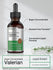 Valerian Root Liquid Extract Alcohol Free, 2 fl oz (59 mL) Dropper Bottle