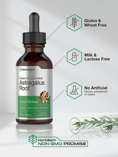 Astragalus Root Liquid Extract Alcohol Free, 2 fl oz (59 mL) Dropper Bottle