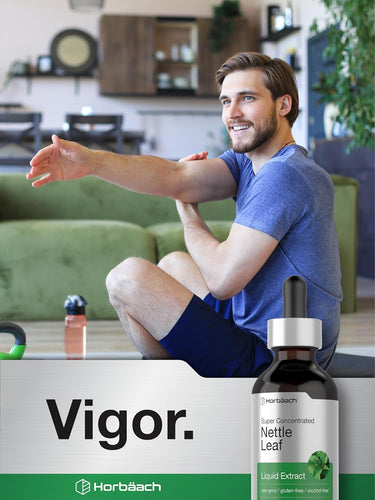 Nettle Leaf Liquid Extract Alcohol Free, 2 fl oz (59 mL) Dropper Bottle