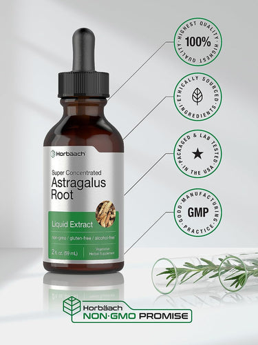 Astragalus Root Liquid Extract Alcohol Free, 2 fl oz (59 mL) Dropper Bottle