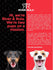 RIVER&RULA™ ad with two happy dogs, black & tan and white & brown, featuring text about dog supplements.