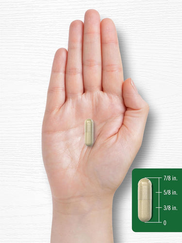 Leg Vein Support, 180 Quick Release Capsules
