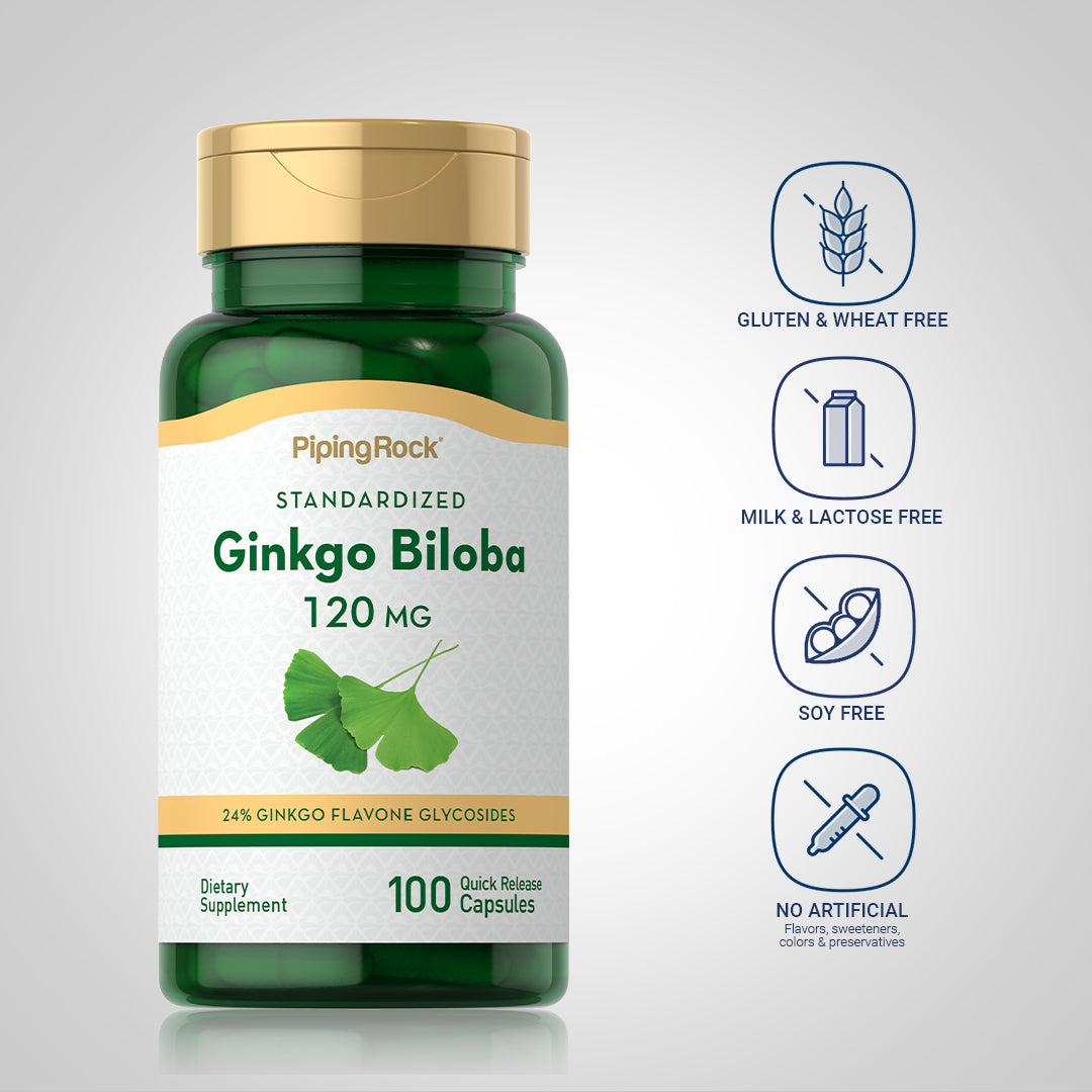 Ginkgo Biloba Standardized Extract, 120 mg, 100 Quick