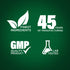Gymnema Sylvestre, 600 mg, 200 Quick Release Capsules