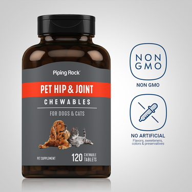 Hip & Joint for Dogs & Cats, 120 Chewable Tablets